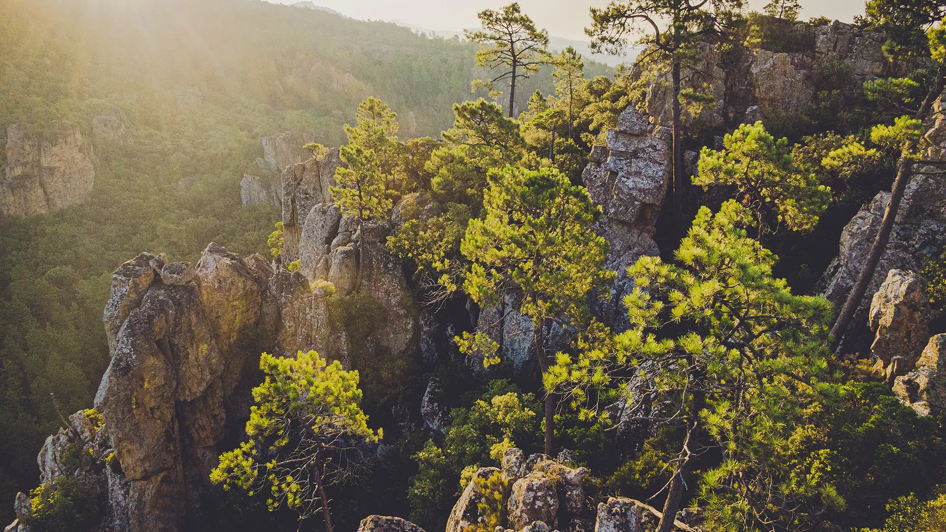 Gorges du Blavet