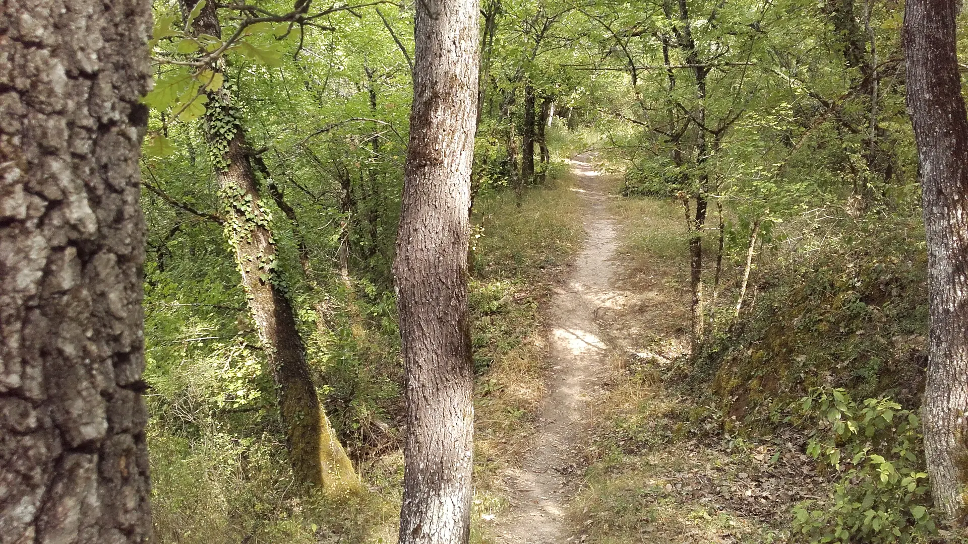 Parcours VTT Grambois