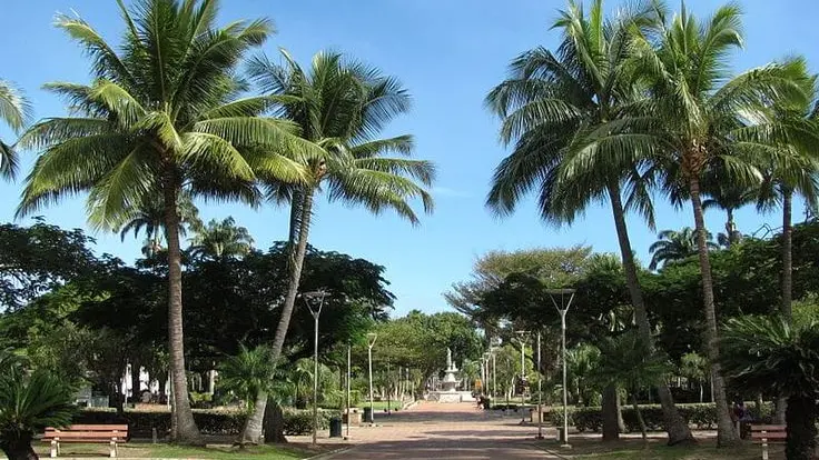 Place des cocotiers