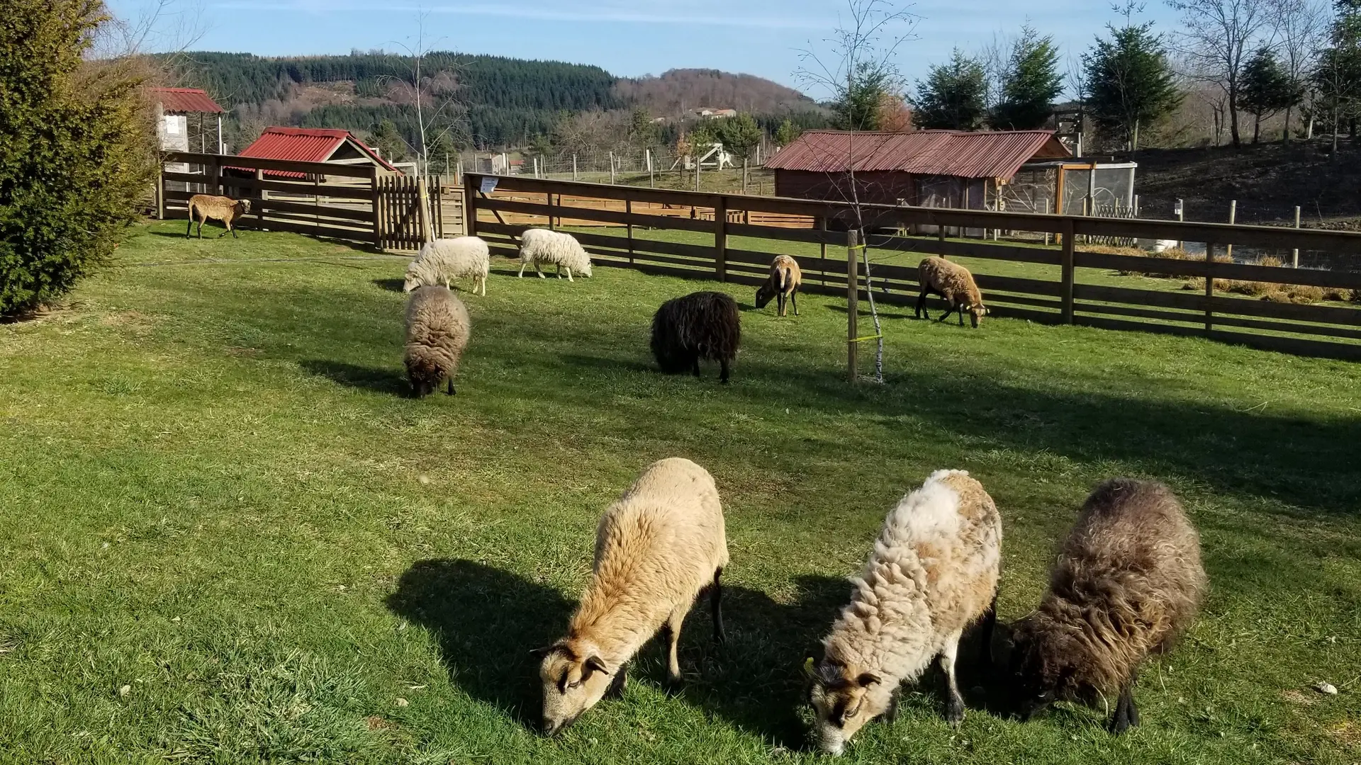 Miellerie La Grange aux abeilles_Estivareilles