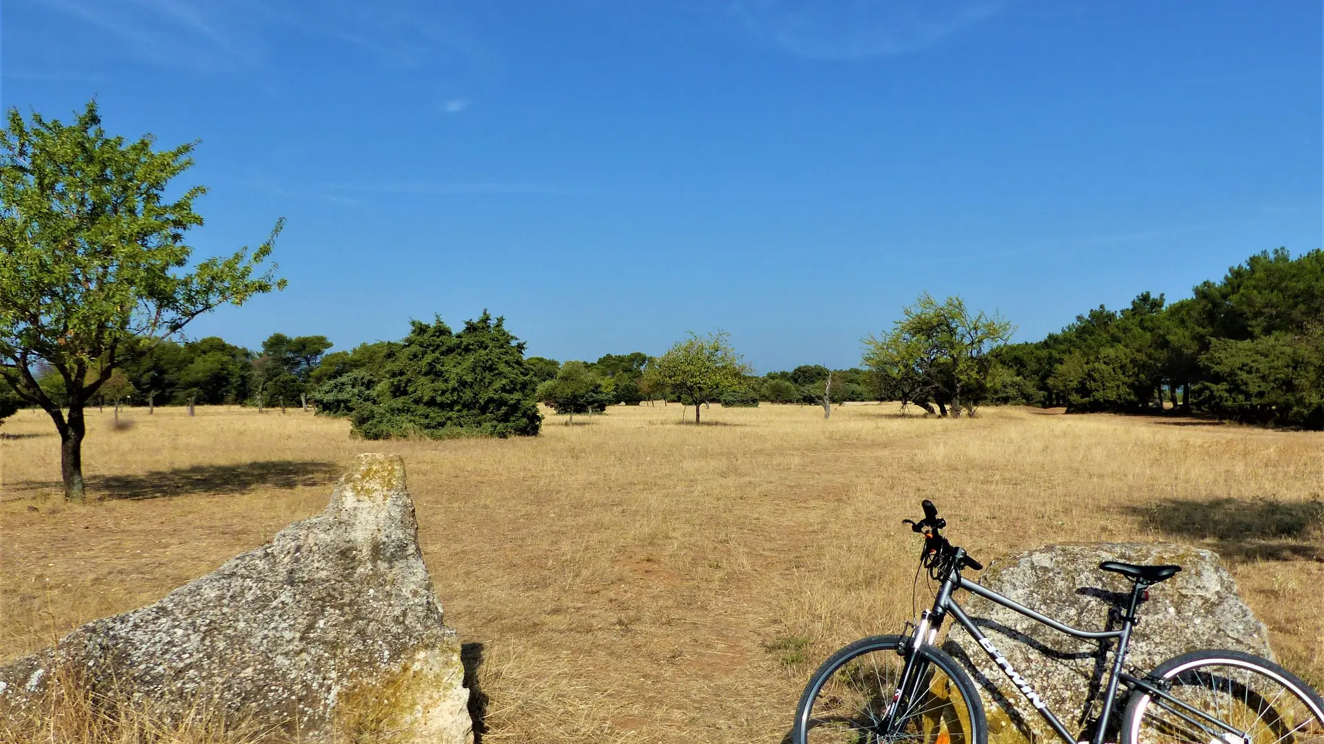 Paysage de la Petite Crau