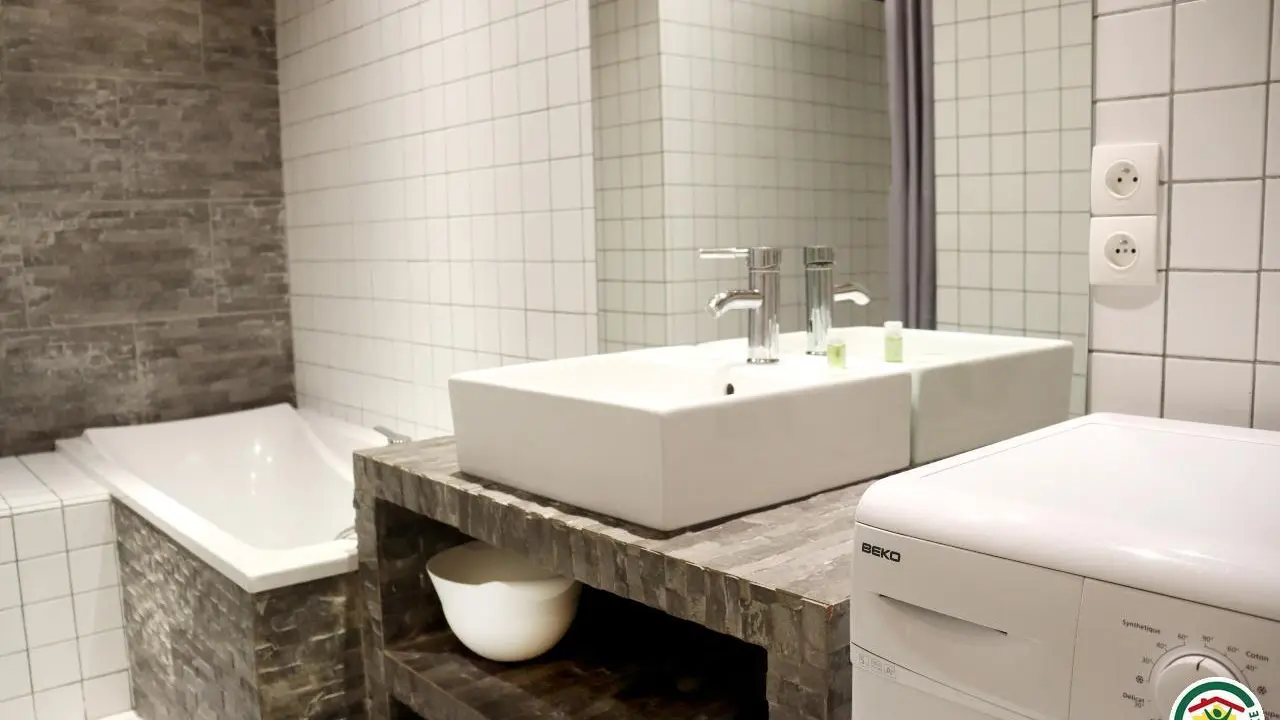 Salle de bain : lavabo, douche, baignoire et lave linge.