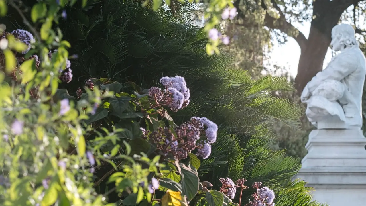 Alexandre-I.-Garten
