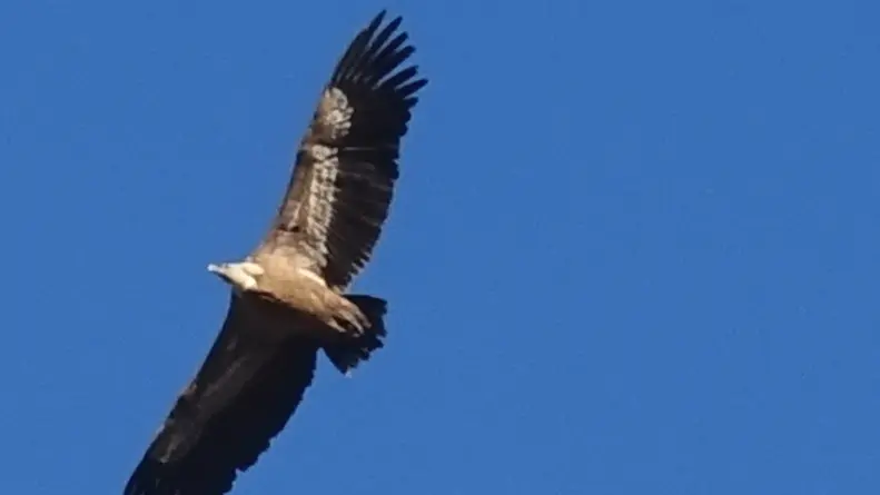 Séjour Grand Tour du Dévoluy avec Alizane Montagne