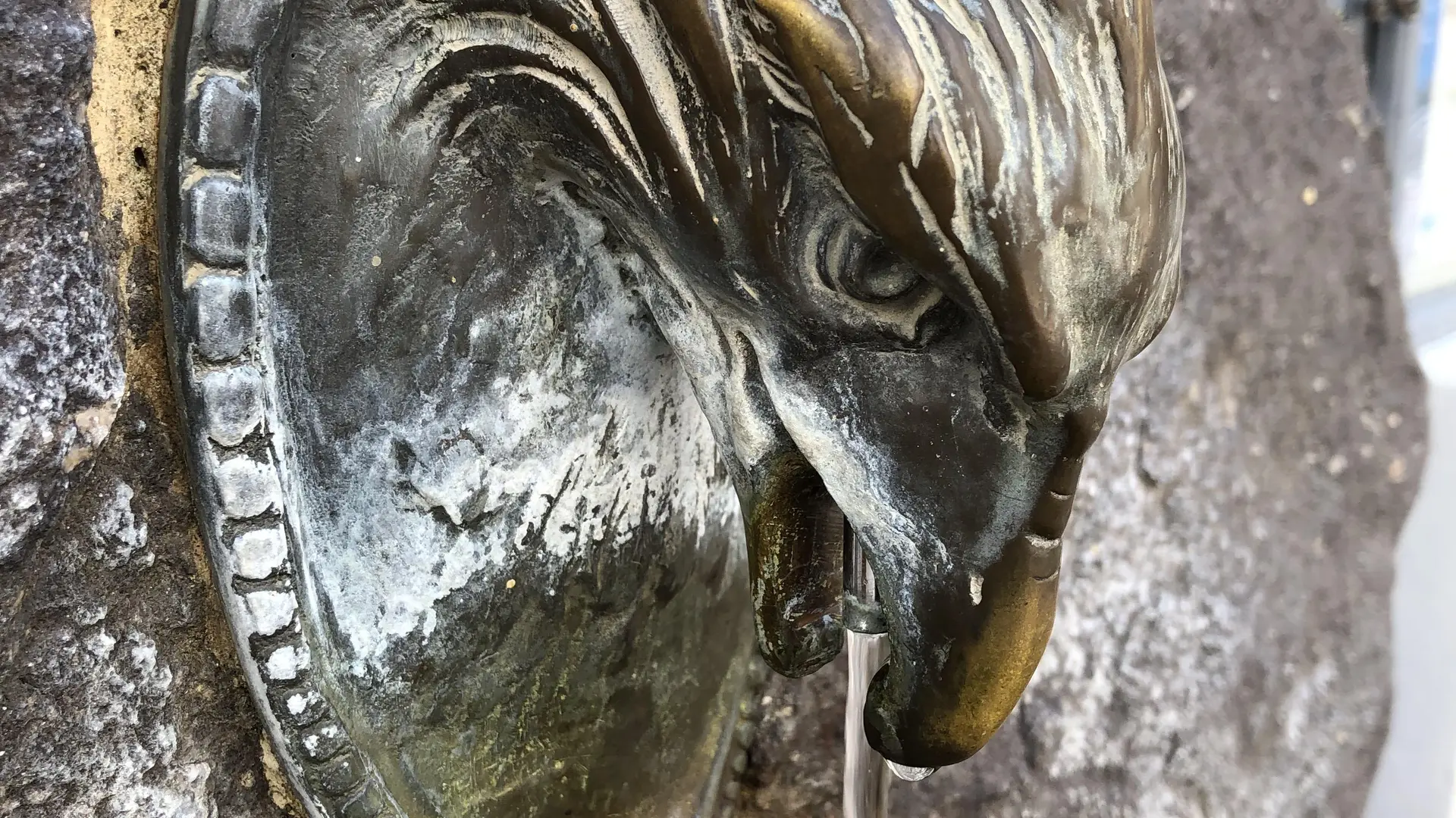 Le lion de la Fontaine