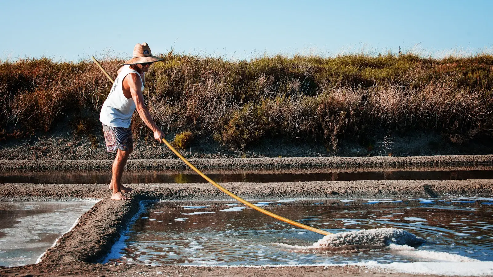 Marais salants