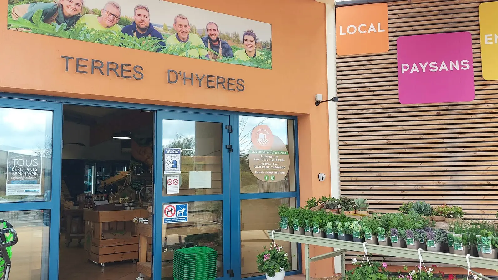 Terre d'Hyères producteurs locaux