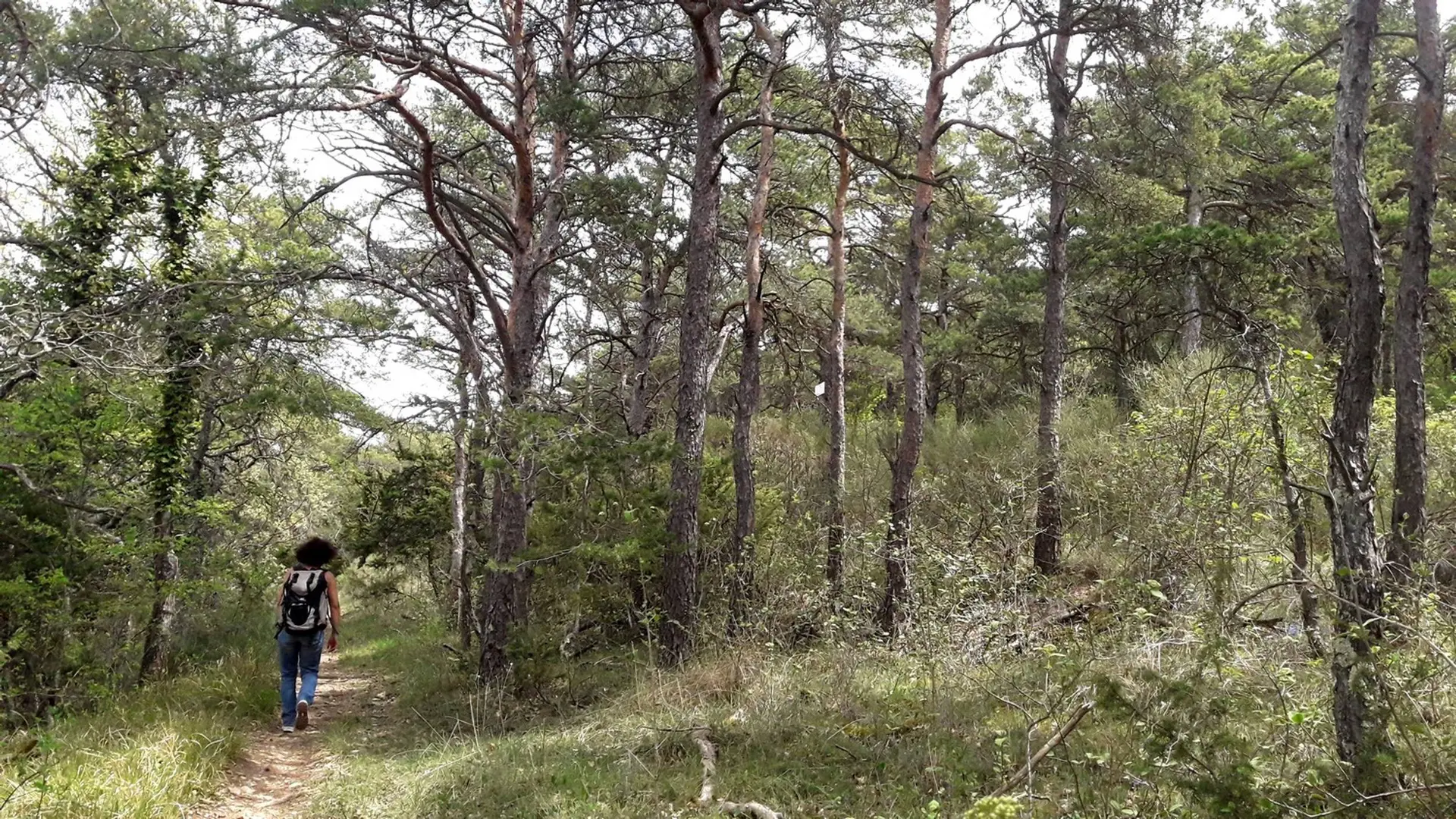 Sur le sentier de Piégros