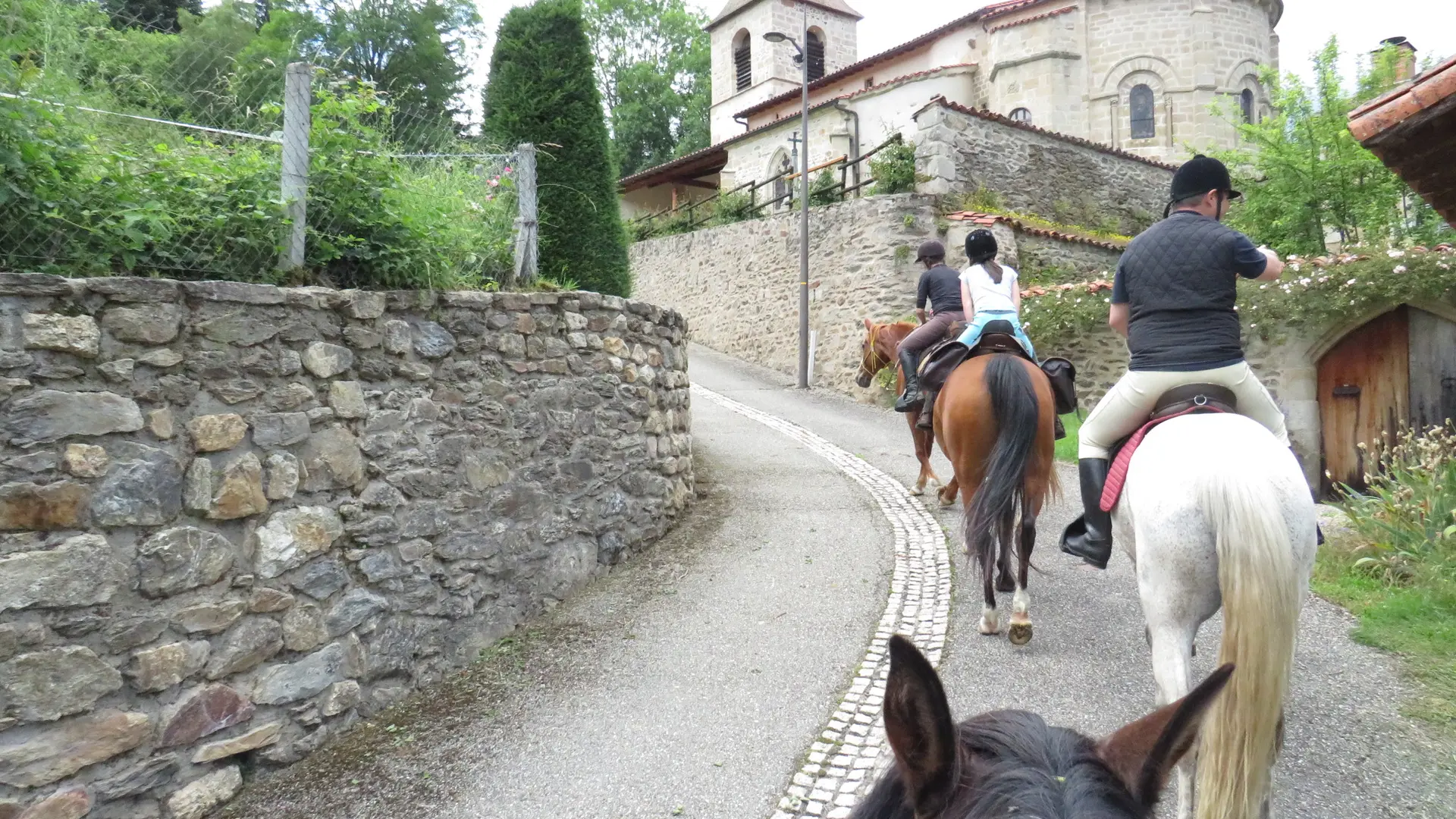 Les Chevaux de Capucine