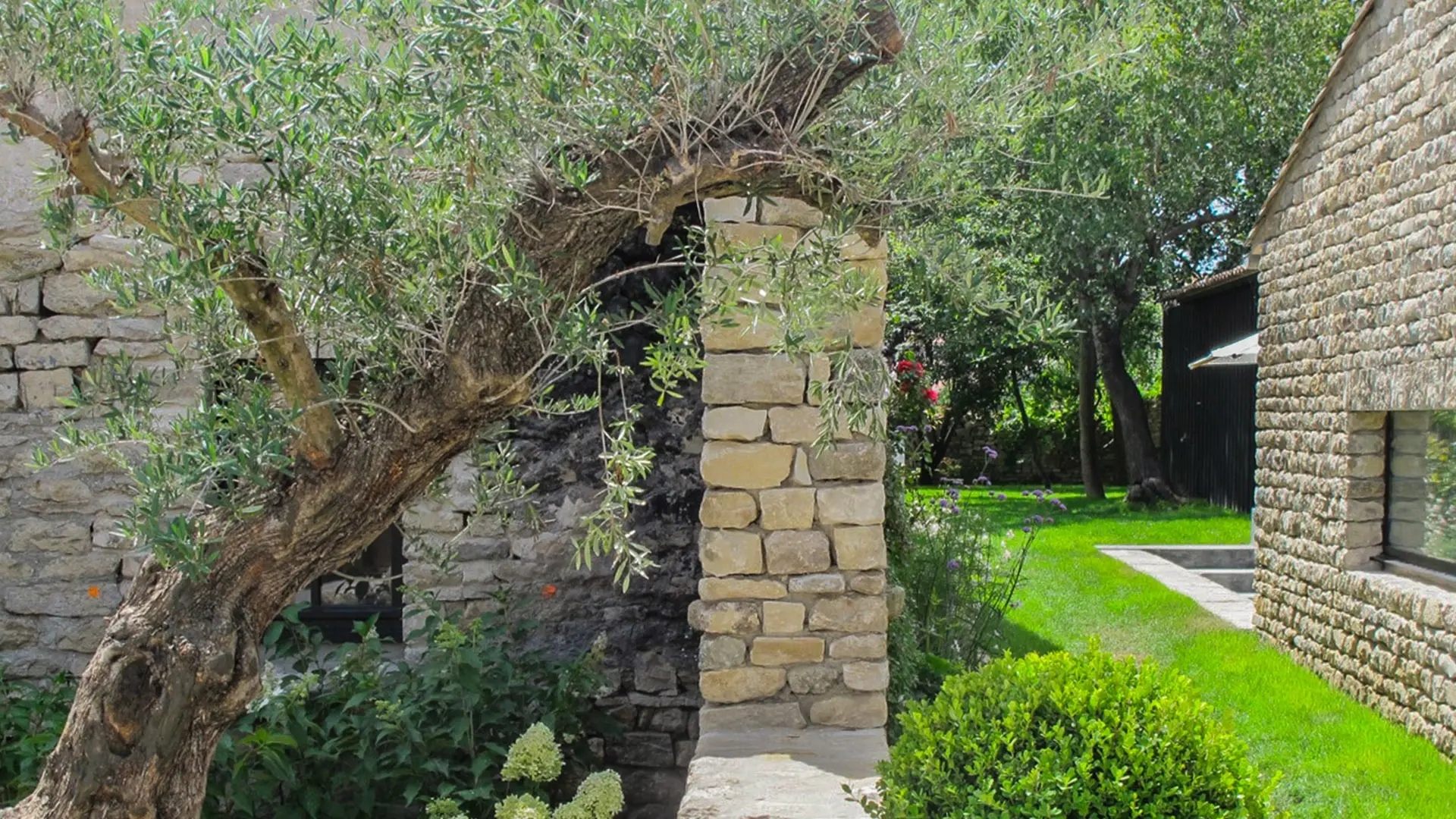 Außenbereich mit Baumbestand