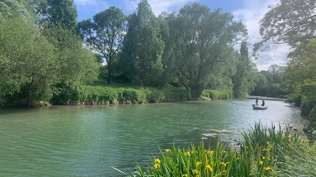 Berges de Seine Maisons-Laffitte