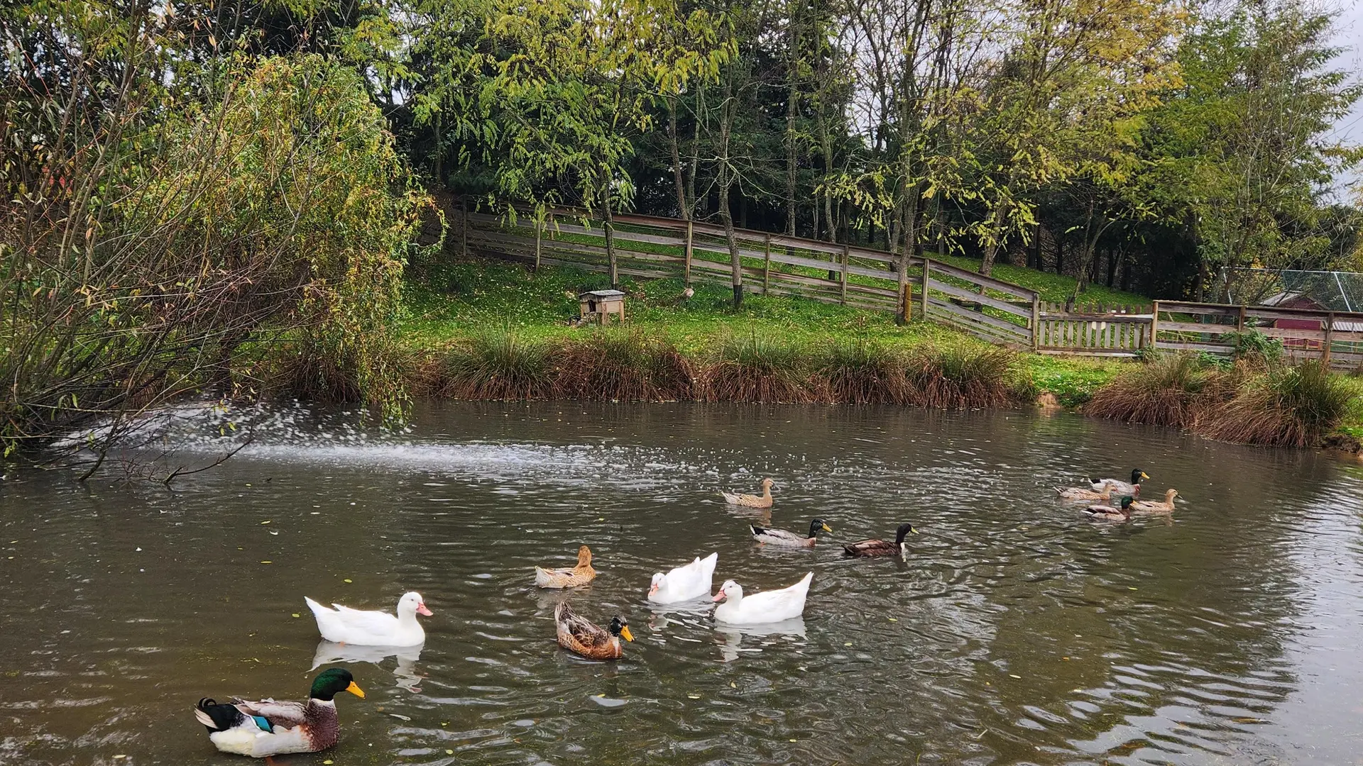 Api'Birthday à la Miellerie La Grange aux Abeilles_Estivareilles