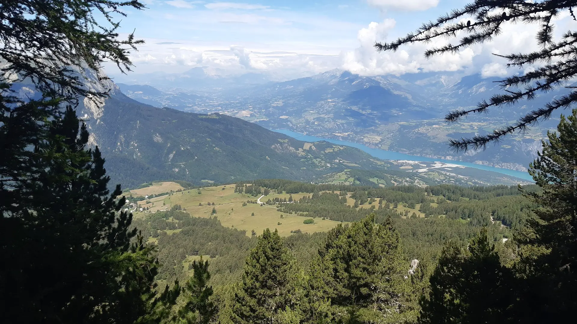 Une brèche dans la forêt