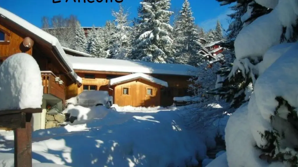 Vue du demi chalet depuis la route principale