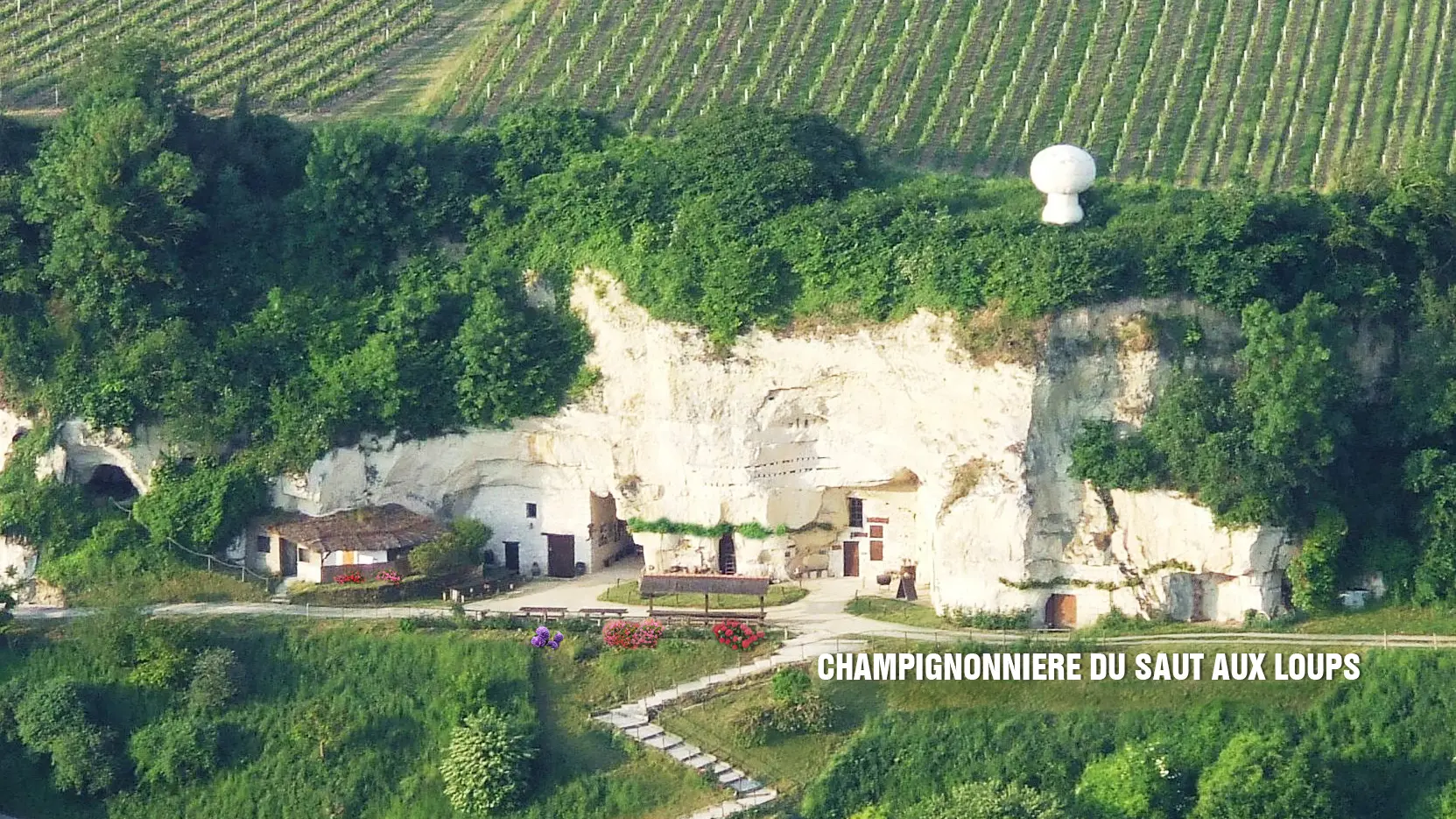 Le coteau du Saut aux Loups