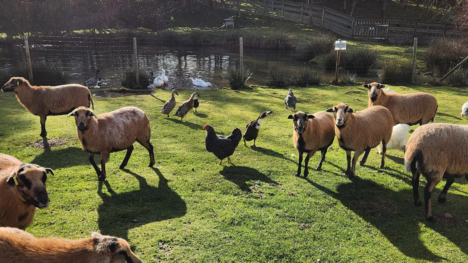 Miellerie La Grange aux abeilles_Estivareilles