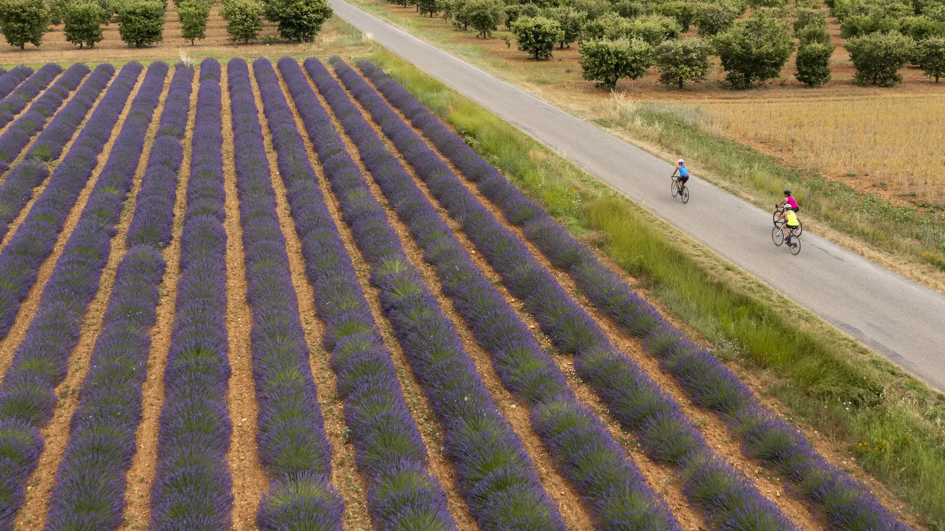 Les deux cols du plateau de Puimichel