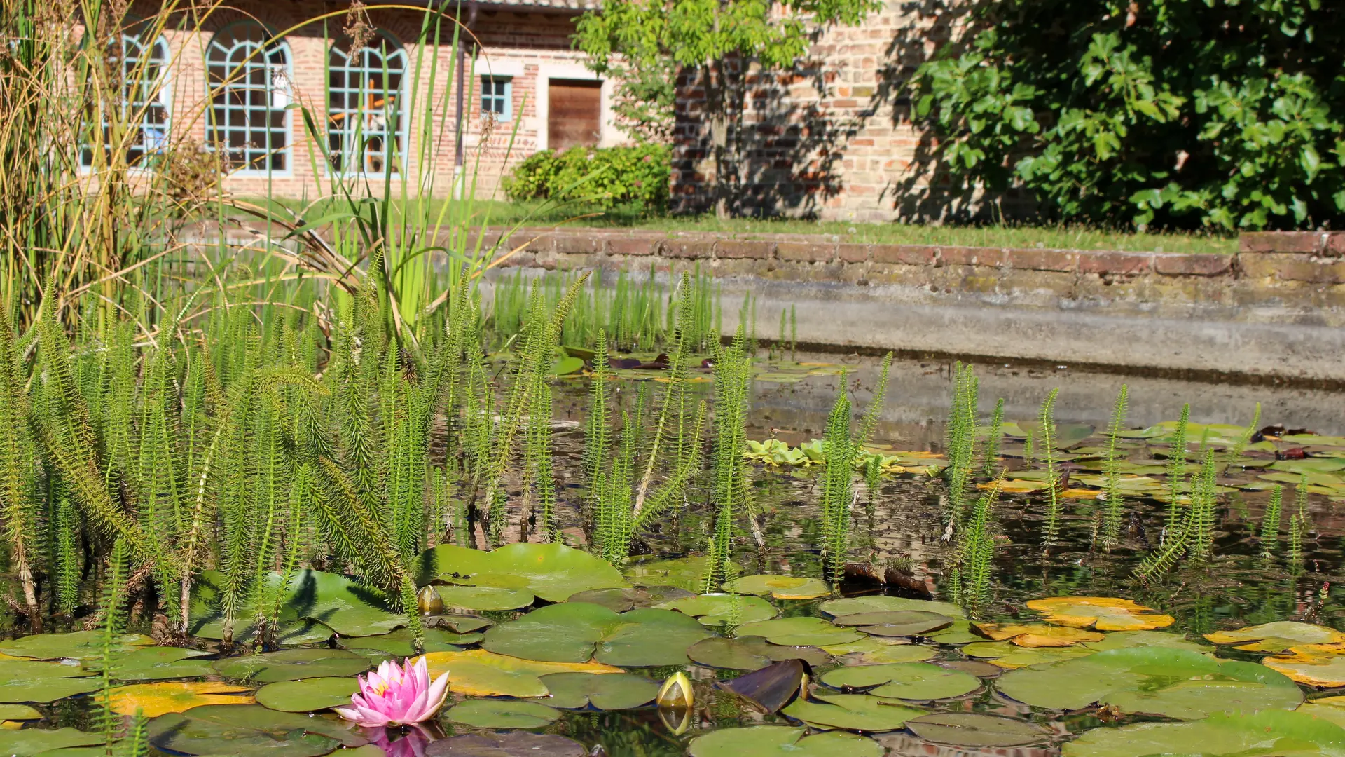 Jardin de l'ancien hopital