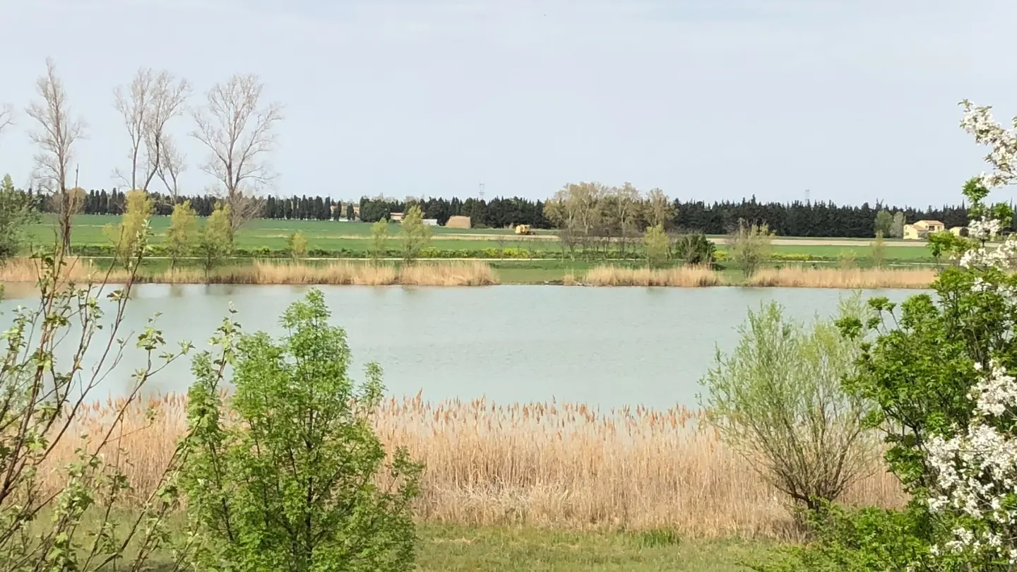 Barrettsee_Saint-Rémy-de-Provence