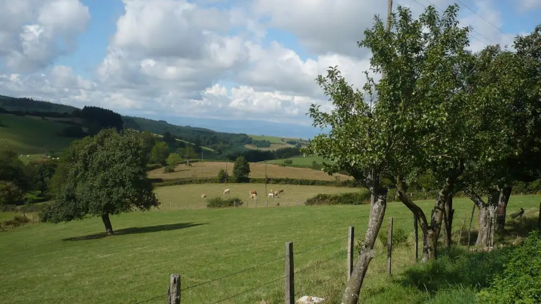 Vu sur la campagne depuis les fenêtres du gîte, côté Sud.