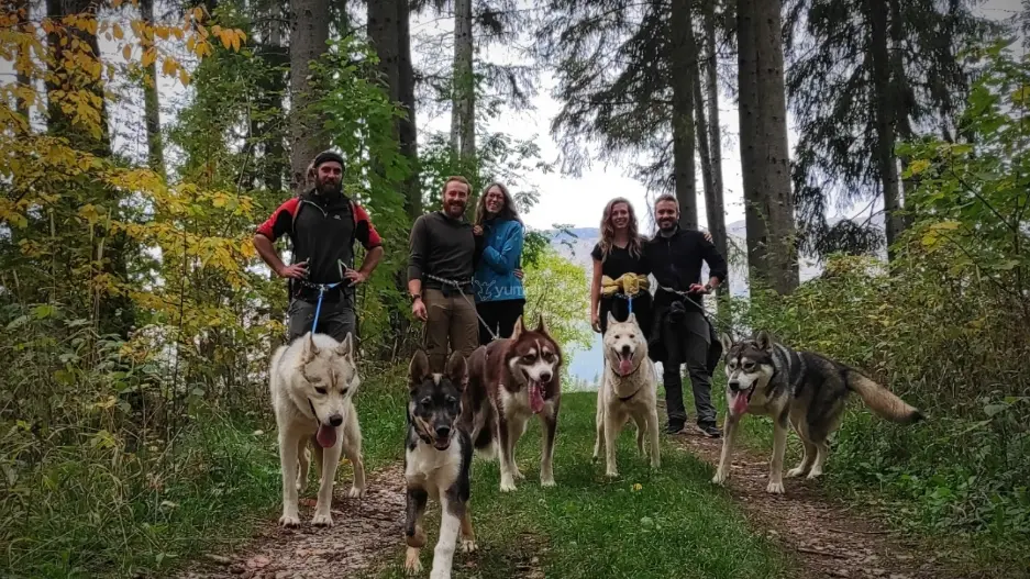Cani-rando à Chaillol - Travel Dog