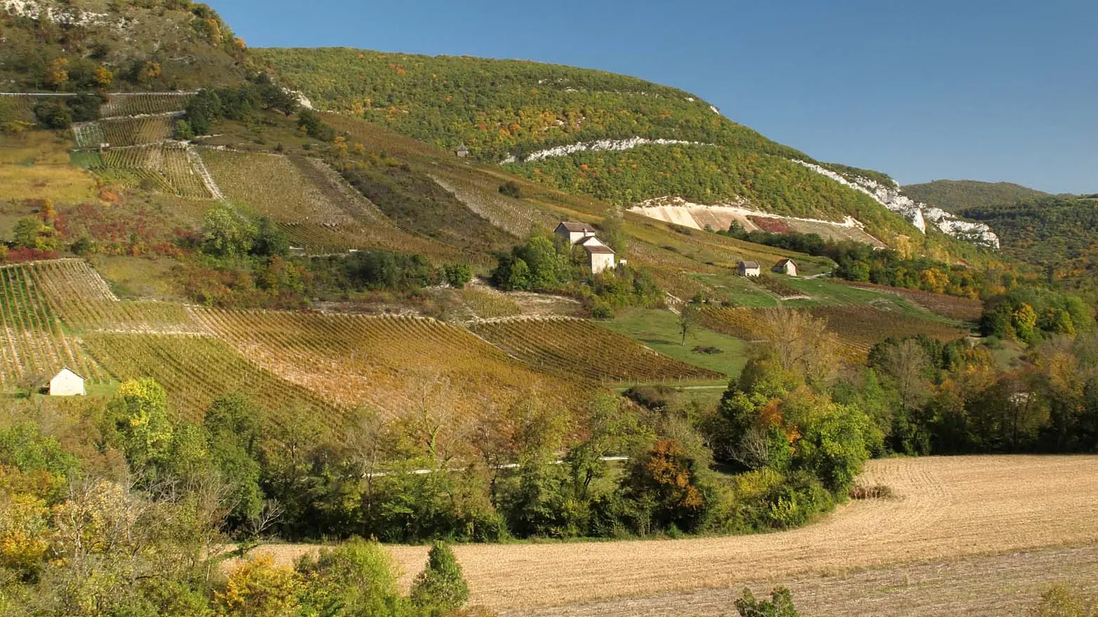 Vignoble Montagnieu