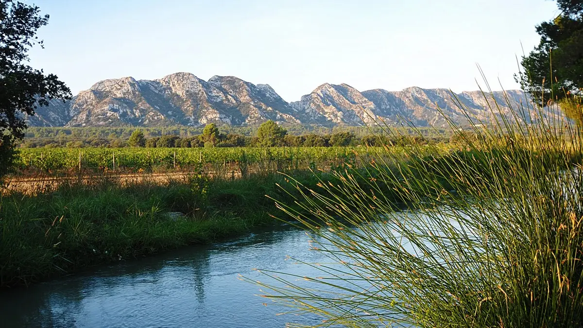 Domaine des Terres Blanches à Saint-Rémy-de-Provence