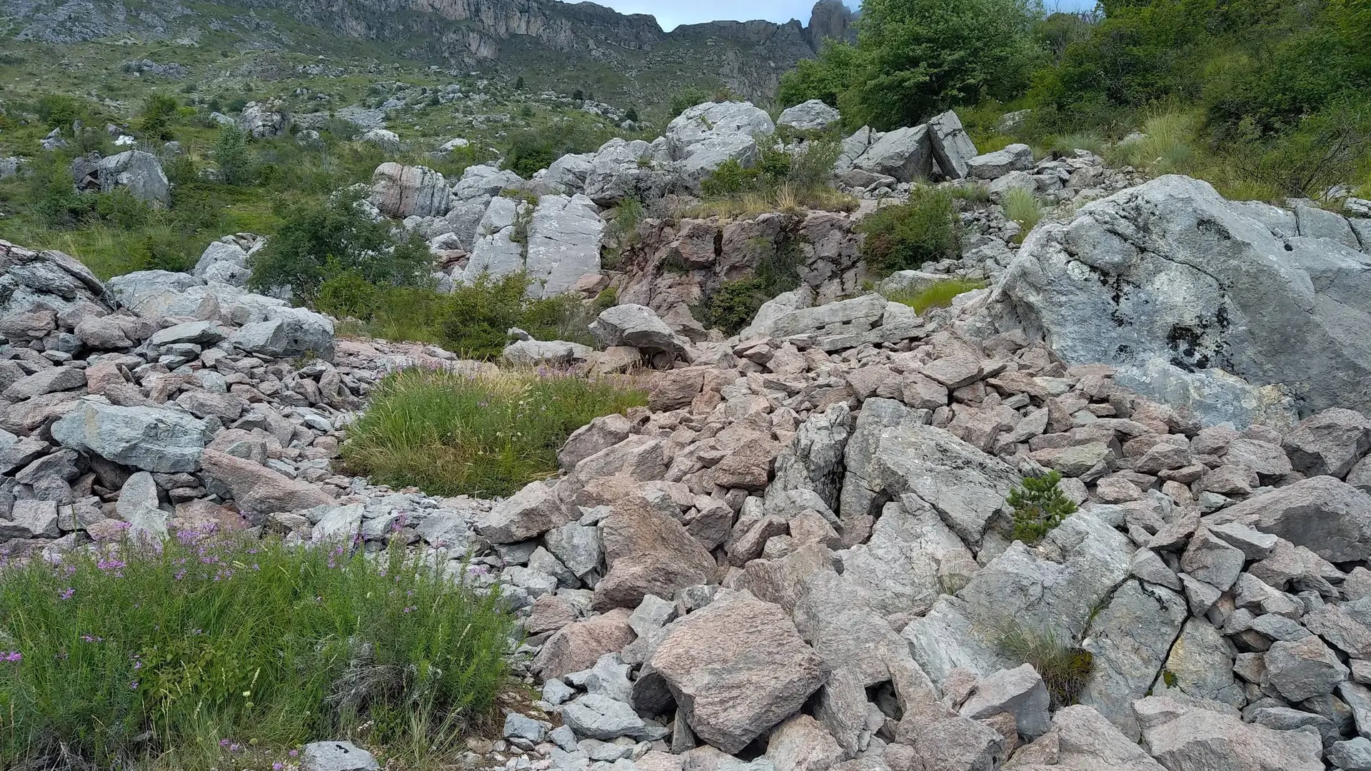 Carrière de Salados