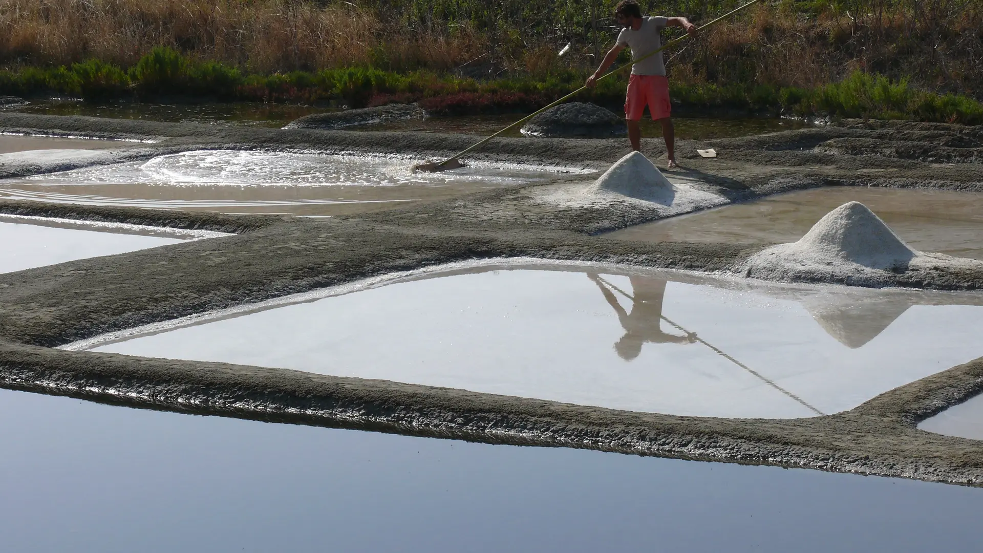 Récolte de gros sel