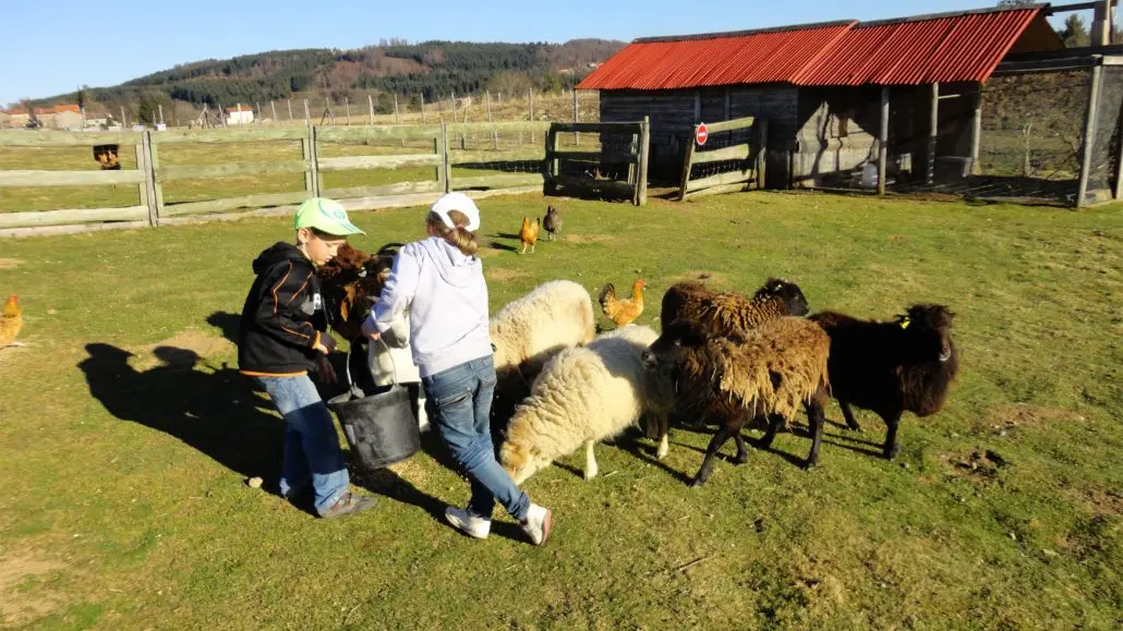 La mini-ferme à La Miellerie la Grange aux Abeilles - Estivareilles