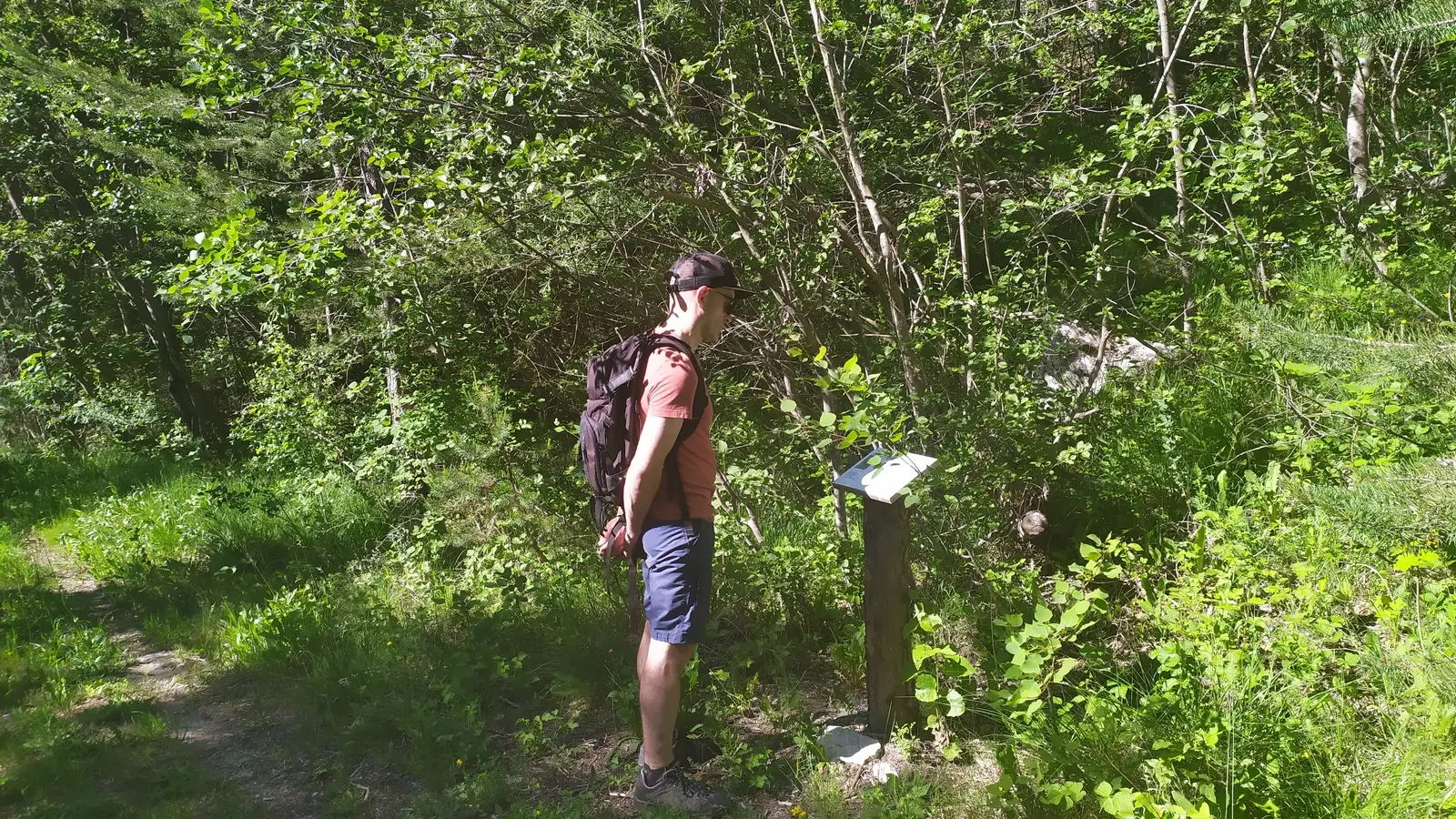 Lecture d'un panneau explicatif du Refuge des oiseaux