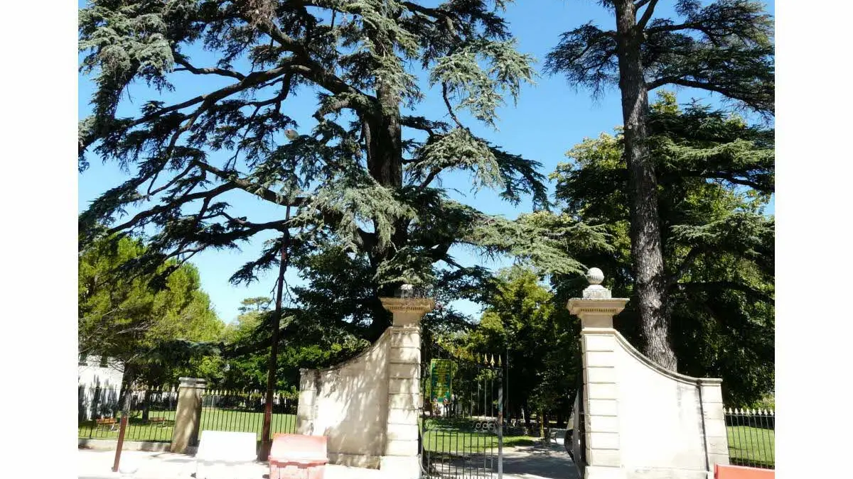 Parc de la Cantonne
