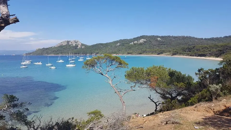 Excursion à Porquerolles avec l'Atlantide
