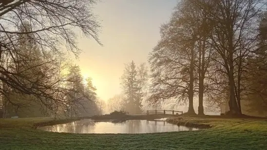 Parc du Domaine de Marchal, le matin