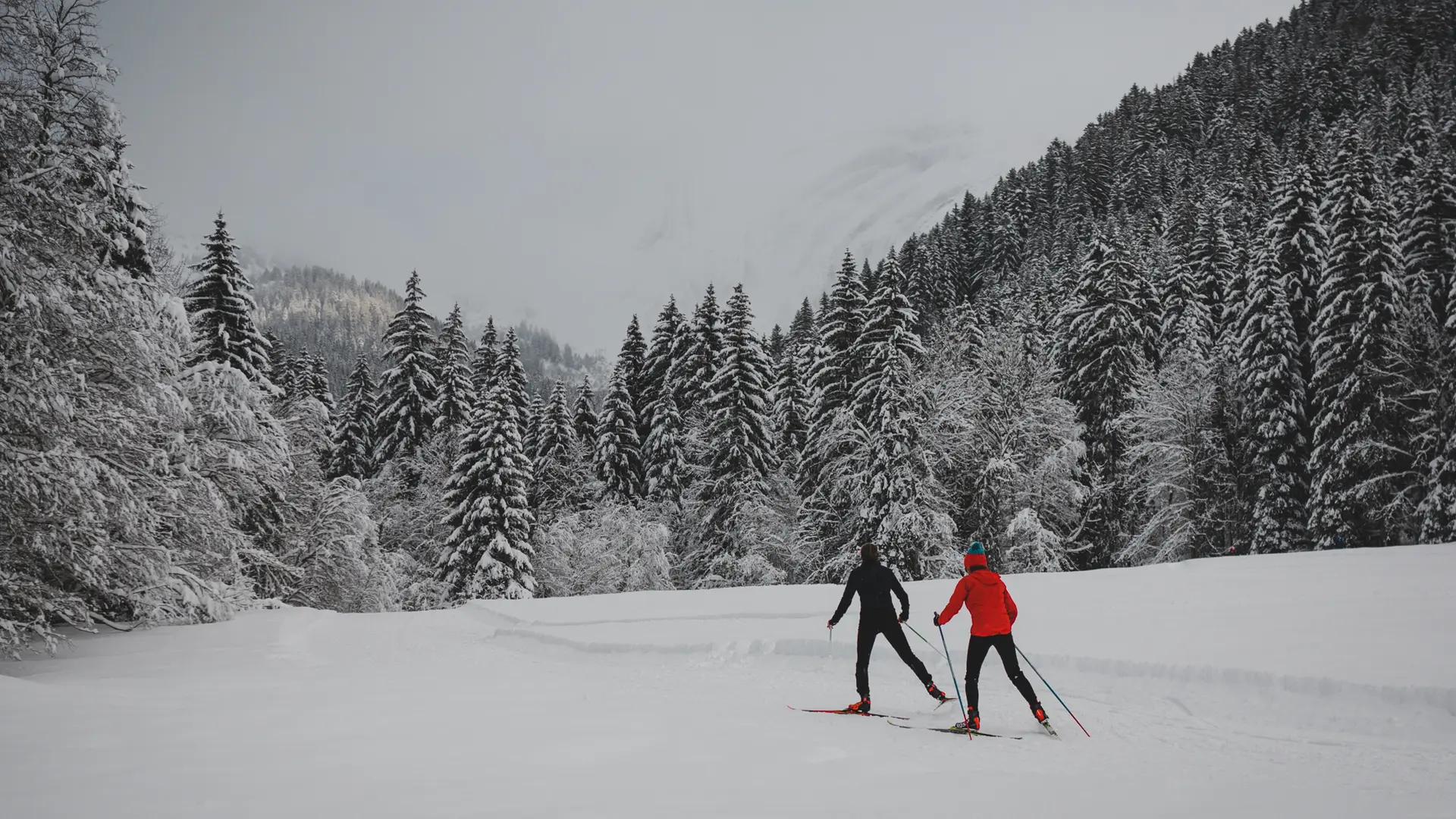 Ski de fond