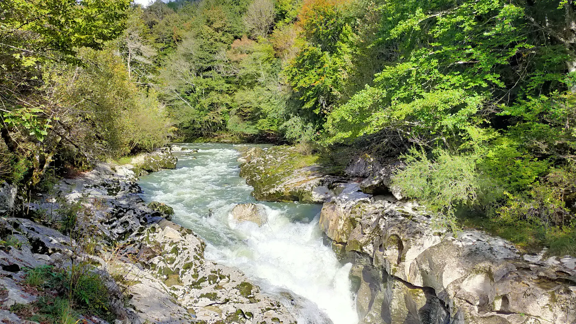 Pertes de La Valserine