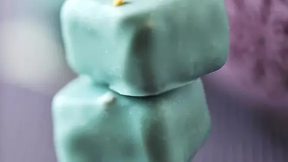 Pavé de la Tour de Jasseron : Praliné, nougatine, chocolat bleu.
