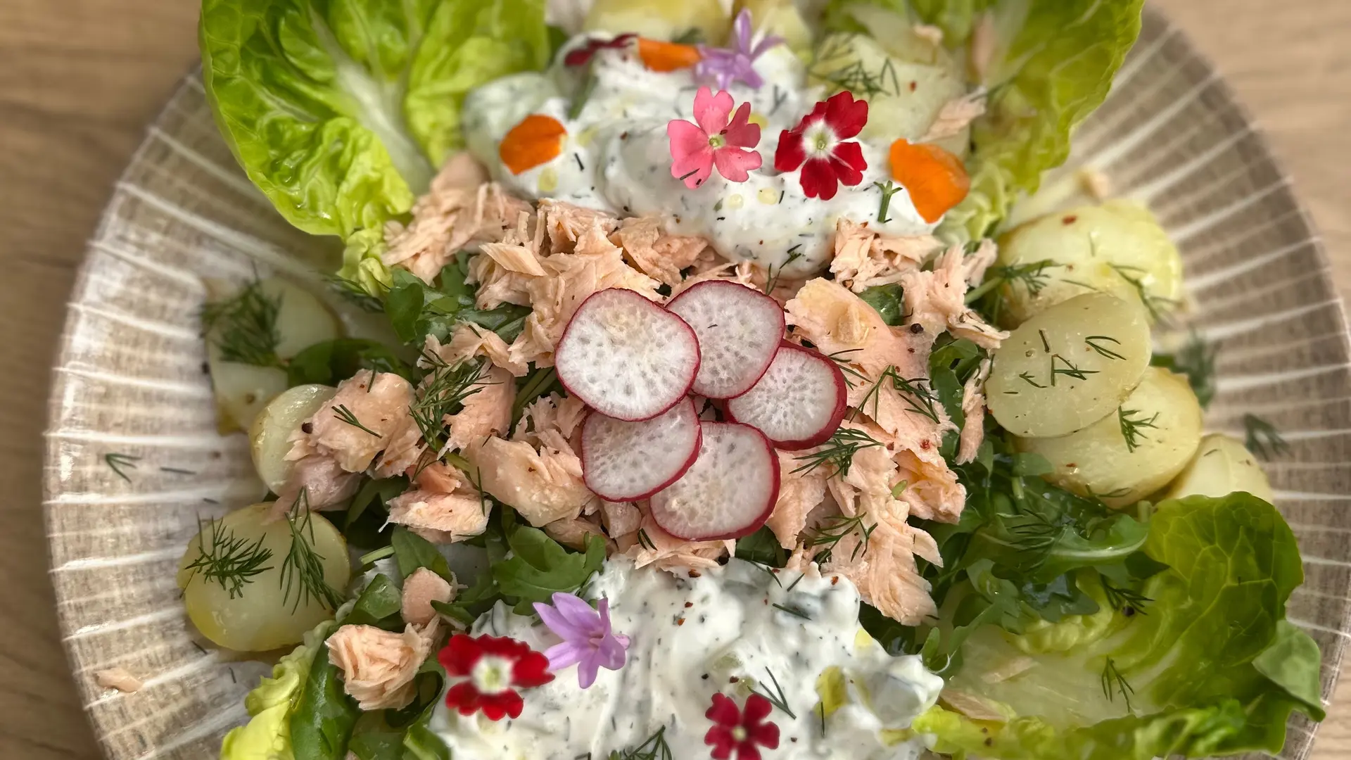 Pommes de terre grenaille vapeur, Tzatziki, sauce à l'aneth