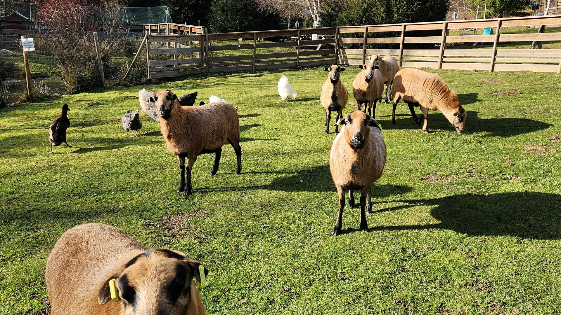 Miellerie La Grange aux abeilles_Estivareilles