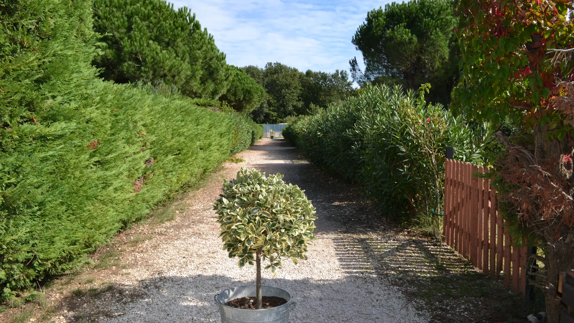 Allée centrale d'accès aux chalets