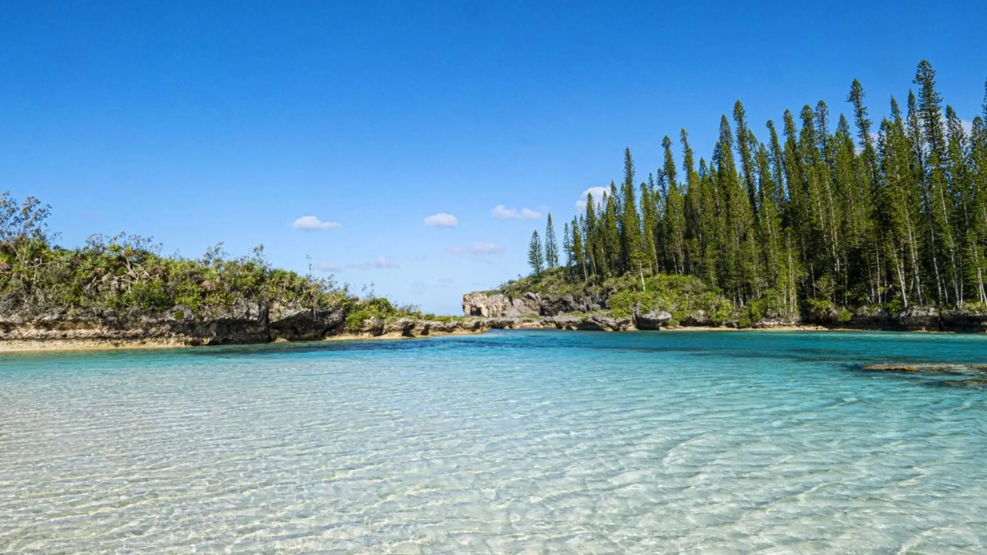 Piscine naturelle