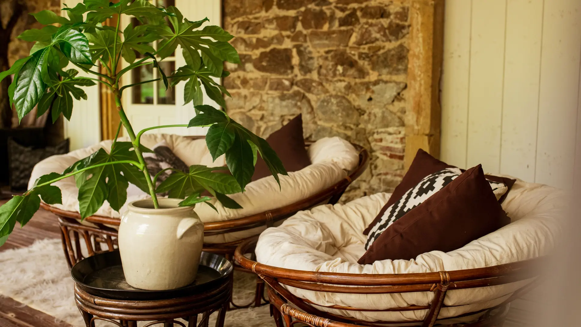 Suite Junior Etnhique Chic