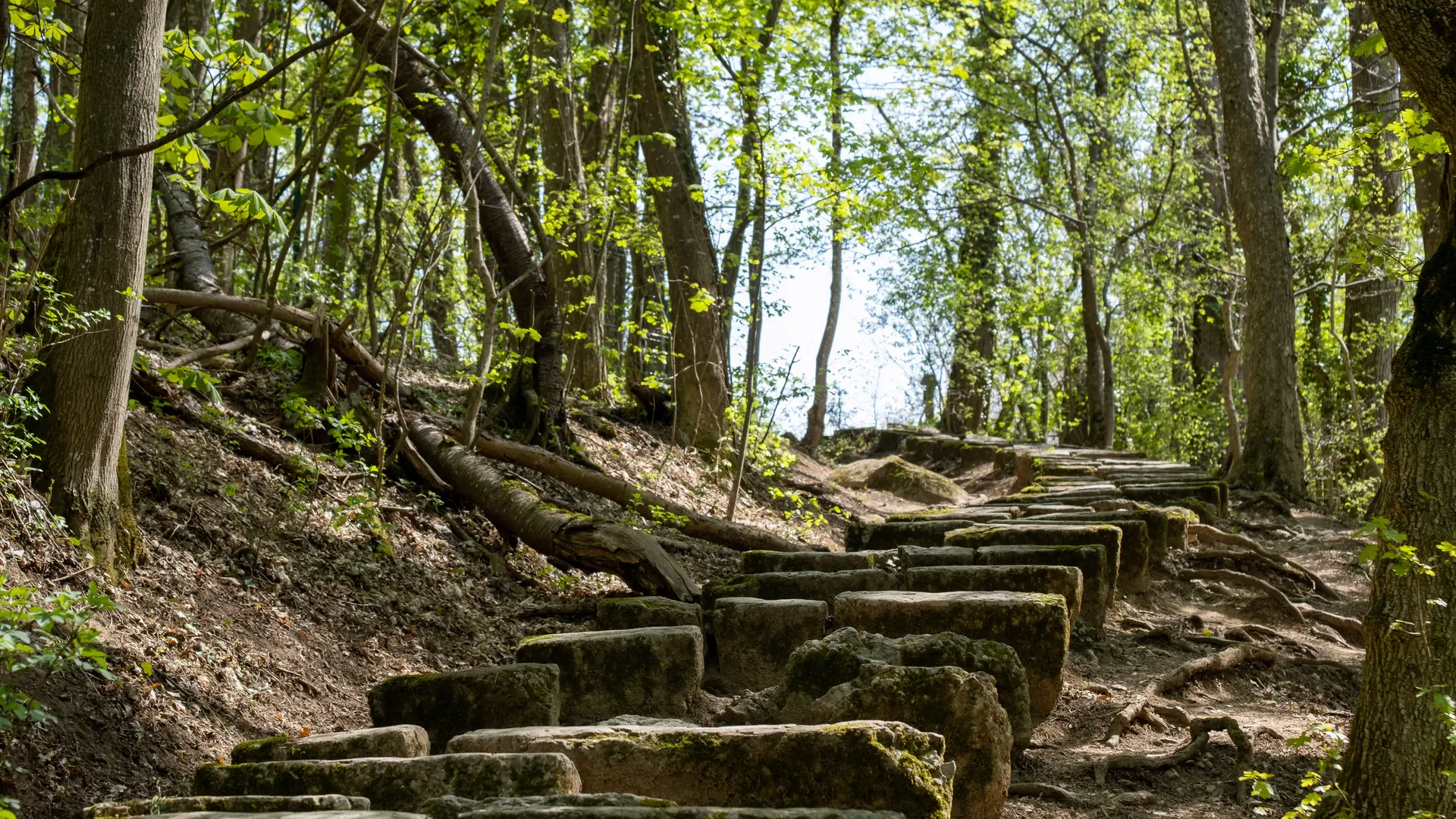 Marches du Pas de l'Echelle