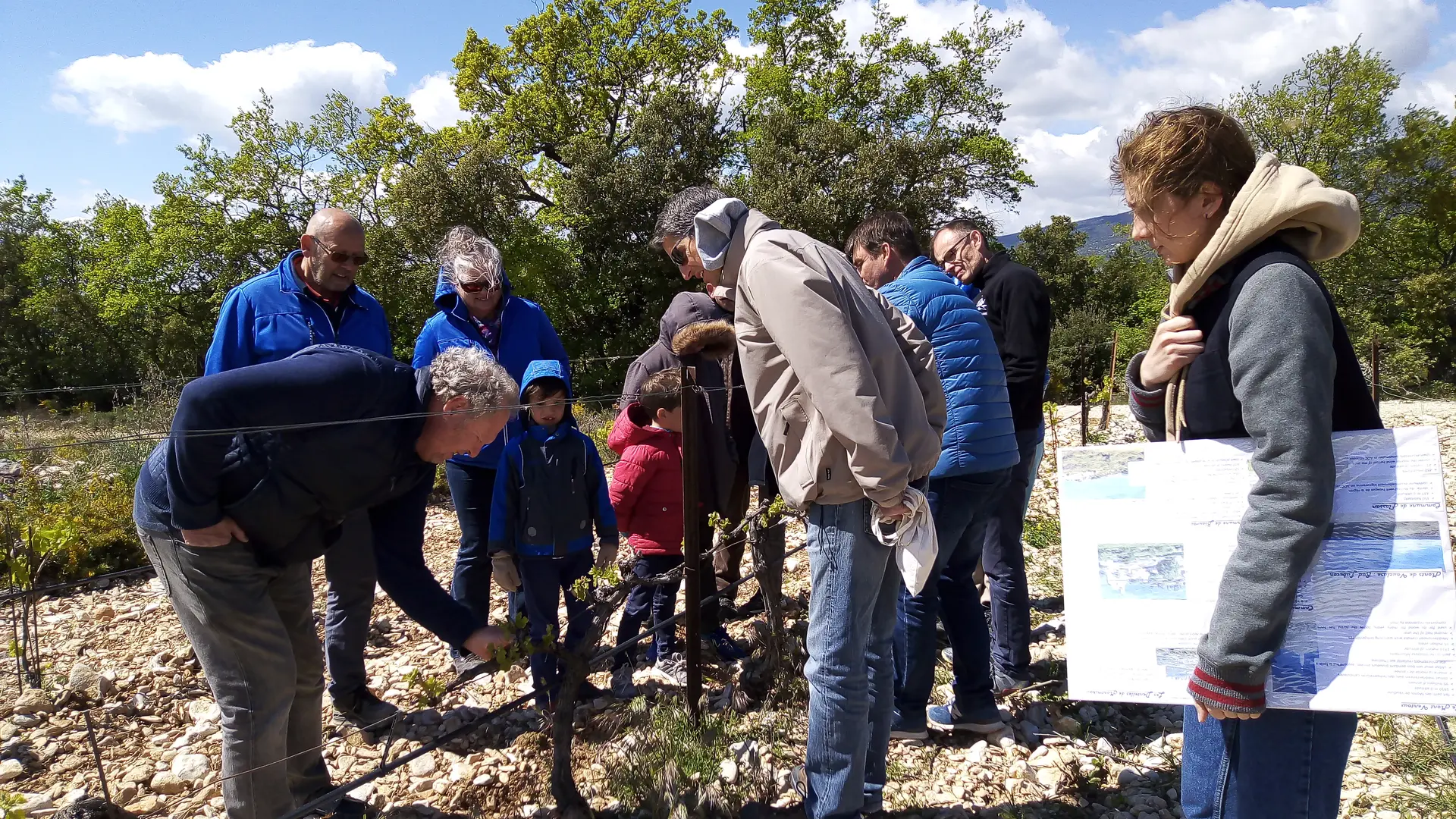 Balade dans les vignes - Domaine les Patys