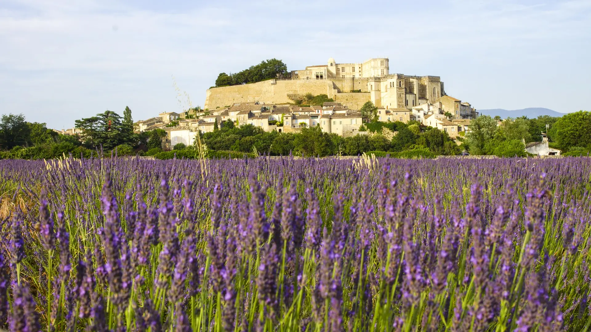 Château de Grignan