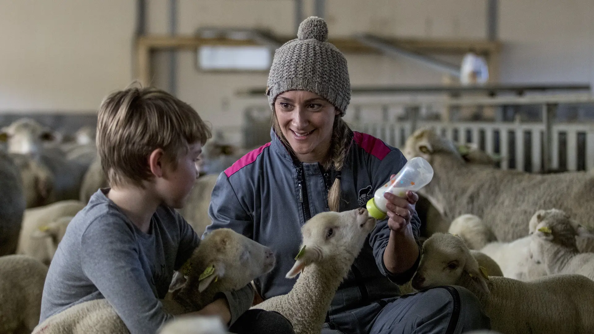 Ferme Flouka, producteur de laine dans Le Dévoluy, Hautes-Alpes