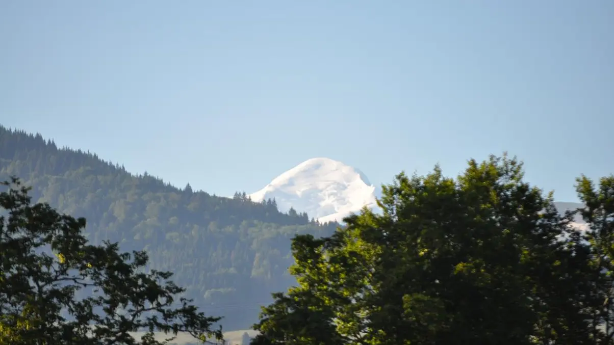 Vue sur le Mont Blanc