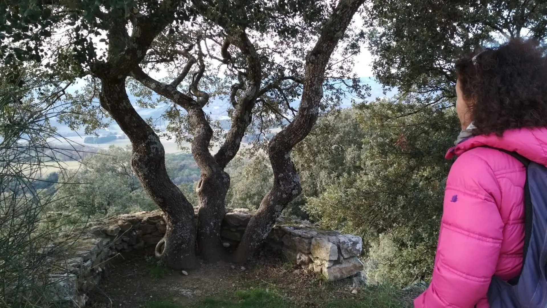 Lurs, chemin de Saint-Jacques de Compostelle