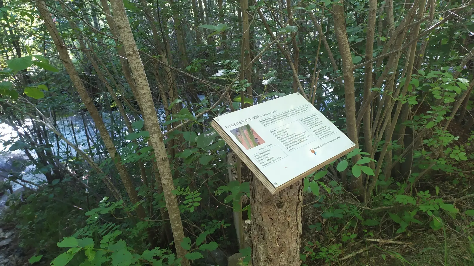 Panneau au bord du torrent des Ayes