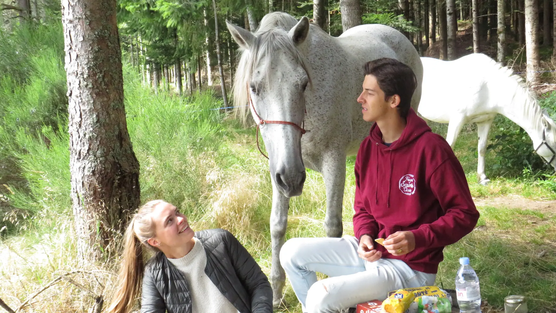 Les Chevaux de Capucine